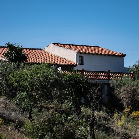 Peace And Tranquility At Montana Retreat Apartment Alora Exterior photo