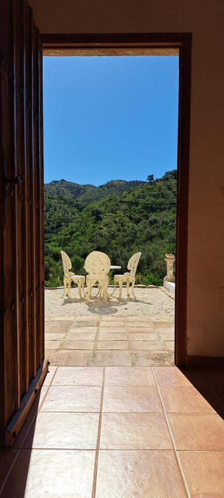 Peace And Tranquility At Montana Retreat Apartment Alora Room photo