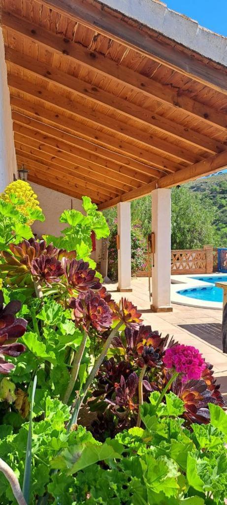 Peace And Tranquility At Montana Retreat Apartment Alora Room photo